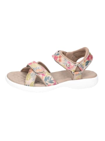 PANAMA JACK Sandalen Noja Tropical in multi