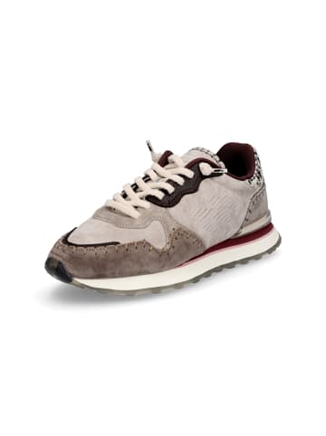 Maripe Sneaker Amsterdam in Grau Taupe