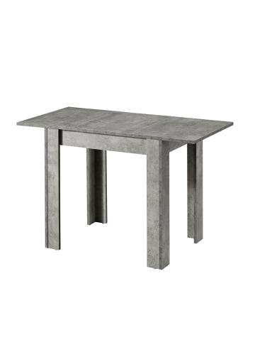B&D Home Ausziehtisch LIVIUS in Beton