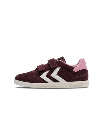 Hummel Klettverschluss Sneaker Victory Suede Lebensstil Kinder in VINEYARD WINE