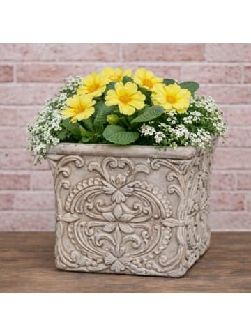 AltoBelli Blumentopf PERUGIA Beige Grau Zement Eckig 13x12 cm
