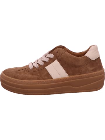 Gabor Sneaker Low in braun
