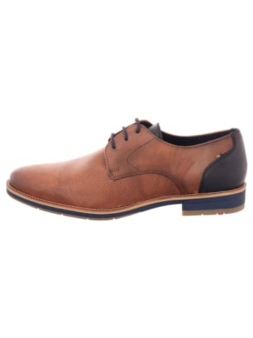 LLOYD Schnürschuhe-elegant in blau