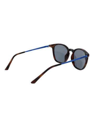 Skechers Männer Sonnenbrille Panto Braun