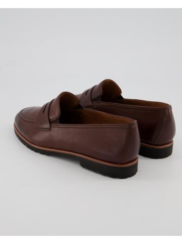 Paul Green Slipper in Braun