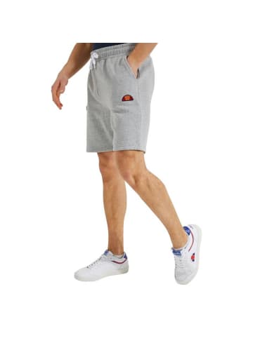 ellesse Shorts in Grau