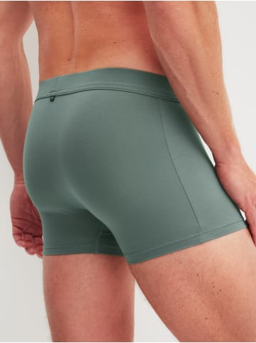 Calida New Boxer in laurel green