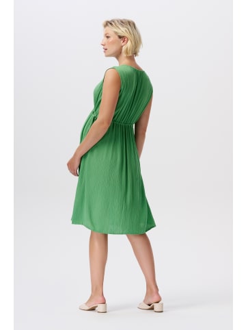 Noppies Still-Kleid Han in Peppermint