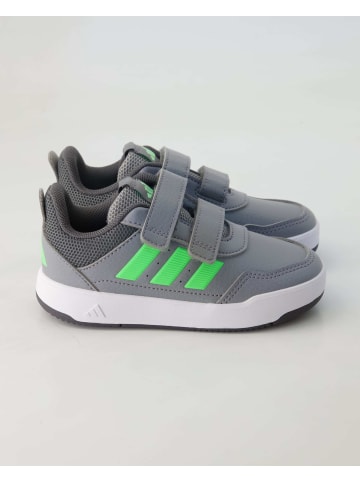 adidas Klettschuhe in Grau