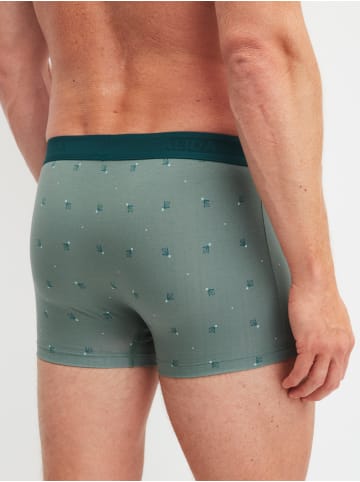Calida New Boxer in laurel green