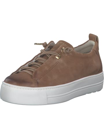 Paul Green Sneakers Low in Sisal