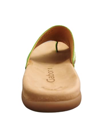 Gabor Zehentrenner in Grün