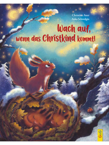 G & G Verlagsgesellschaft Buch - Wach auf, wenn das Christkind kommt!
