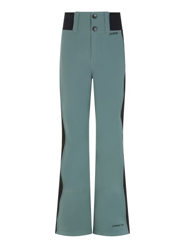 Protest " PRTPROUD JR in Evergreen