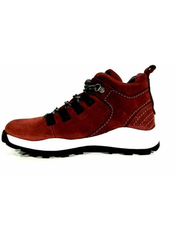 Gabor Schnür-Stiefeletten für Damen in rot