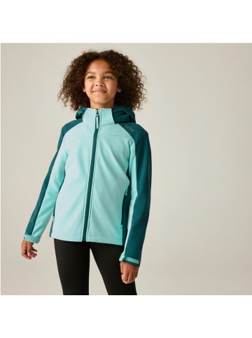 Regatta Softshelljacke mit Kapuze Haydenbury dehnbar und wasserabweisend in Grün