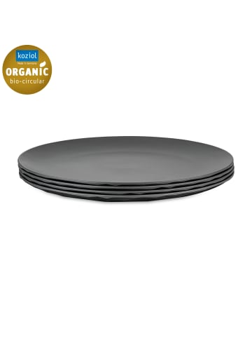 koziol CLUB PLATE 260mm - Flacher Teller 260mm in nature ash grey