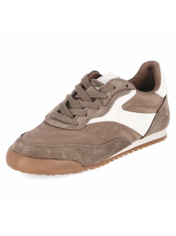 Bullboxer Low Sneaker in braun