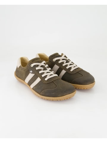 KOEL Sneaker low in Braun