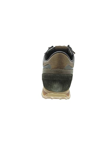 Cetti Sneaker low Grün