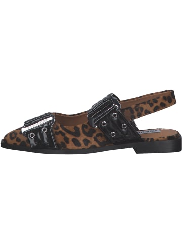 Steve Madden Pantoletten & Badeschuhe in black/leopard