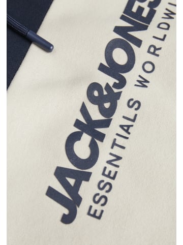 Jack & Jones Hoodie 'LEGACY' in blau