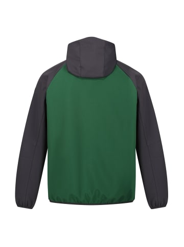 Regatta Softshelljacke Arec III in Grün