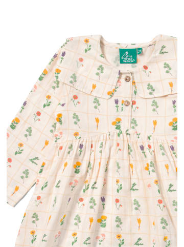 Little Green Radicals Kleid aus Bio-Baumwolle in Creme