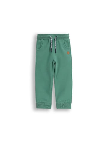 Coccodrillo Jogginghose in grün