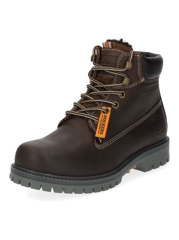 DOCKERS Stiefelette in Schoko