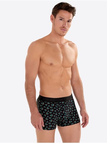 HOM Retro Boxer Dizzy HO1 in black print