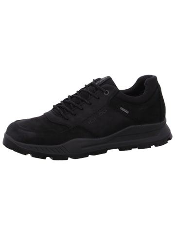 Igi&Co sportlicher Schnürer Eloy GTX in Schwarz