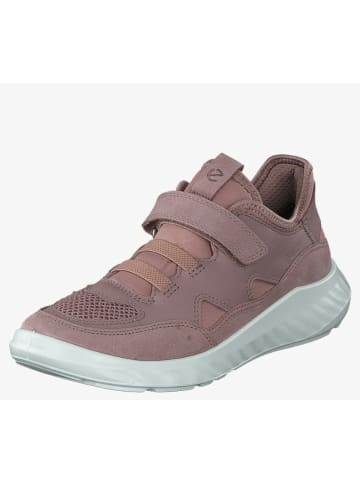 Ecco Sneaker für Jungen in mauve