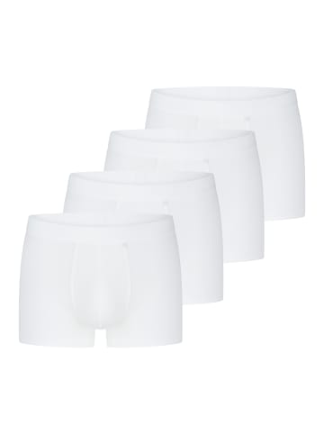 Sloggi Long Short / Pant 24/7 in Weiß