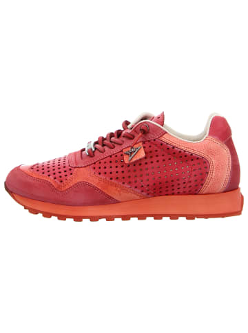 Cetti Sneaker in rot