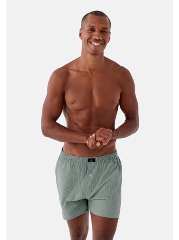 DANISH ENDURANCE Boxershorts Organic Woven in green/stripes mix