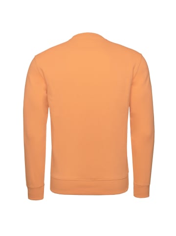 Champion Sweatshirt Crewneck in orange