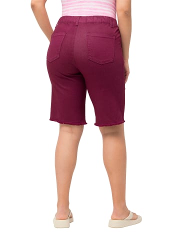 Ulla Popken Bermuda in magnolienrot