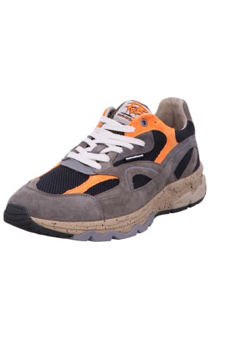 Floris van Bommel Schnürschuh in taupe