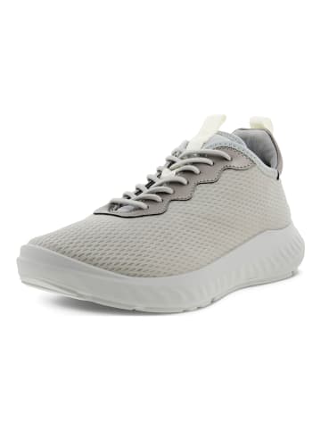 Ecco Sneaker in Grau/Weiß