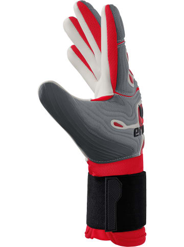 erima Erwachsene Torwarthandschuhe in grau/rot