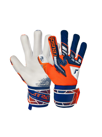 Reusch Torwarthandschuhe Attrakt Freegel Gold NC in 2500 shock orng/energ blue
