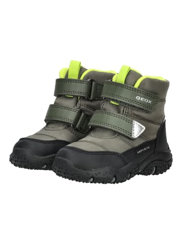 Geox Stiefelette Dunkelgrün