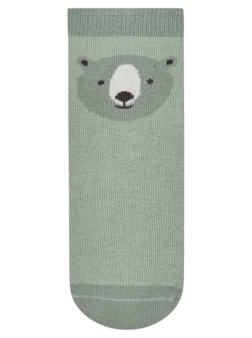 Sterntaler Fliesen Fitzer SUN Bär in hellgrün