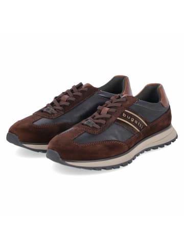 Bugatti Schnürhalbschuh in brown
