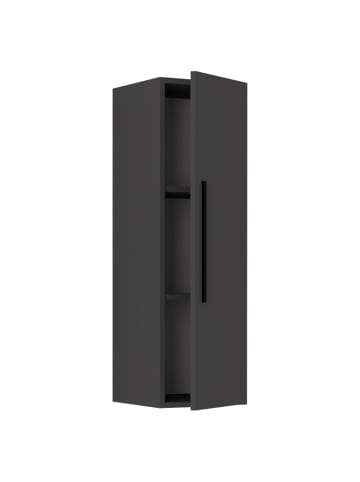 VCM  Holz Wandregal Wandschrank Klappschrank Arila LS in Anthrazit