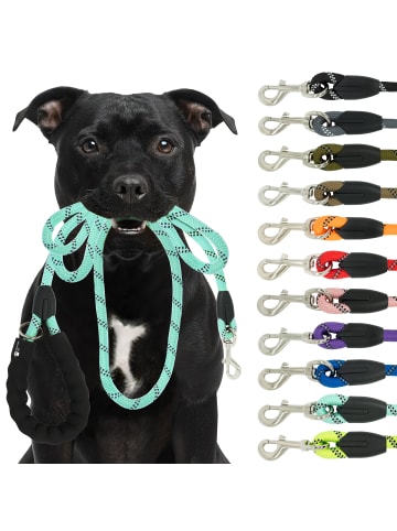 Reichstadt Reichstadt  RS Pets Führleine Nylon 25RSP084 Turquoise 1,5m