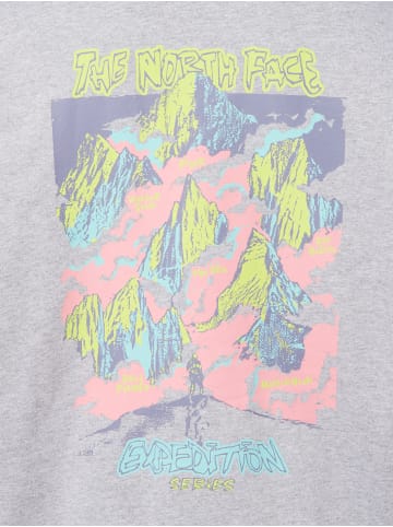 The North Face Sweatshirt in hellgrau