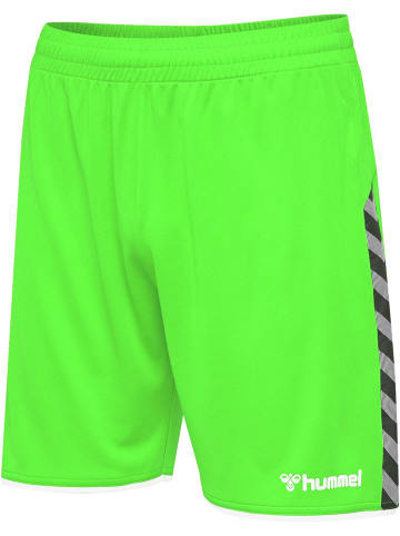 Hummel Hummel Shorts Hmlauthentic Multisport Unisex Kinder Feuchtigkeitsabsorbierenden Leichte Design in GREEN GECKO