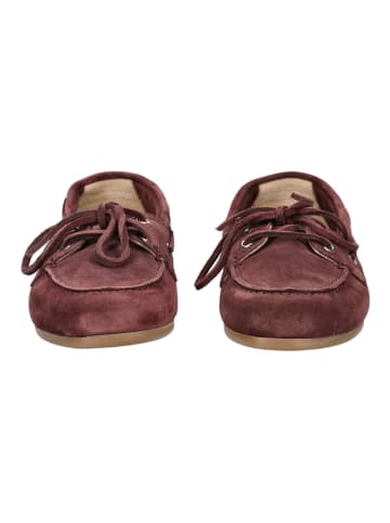 Pavement Halbschuhe MARIN in Bordeaux